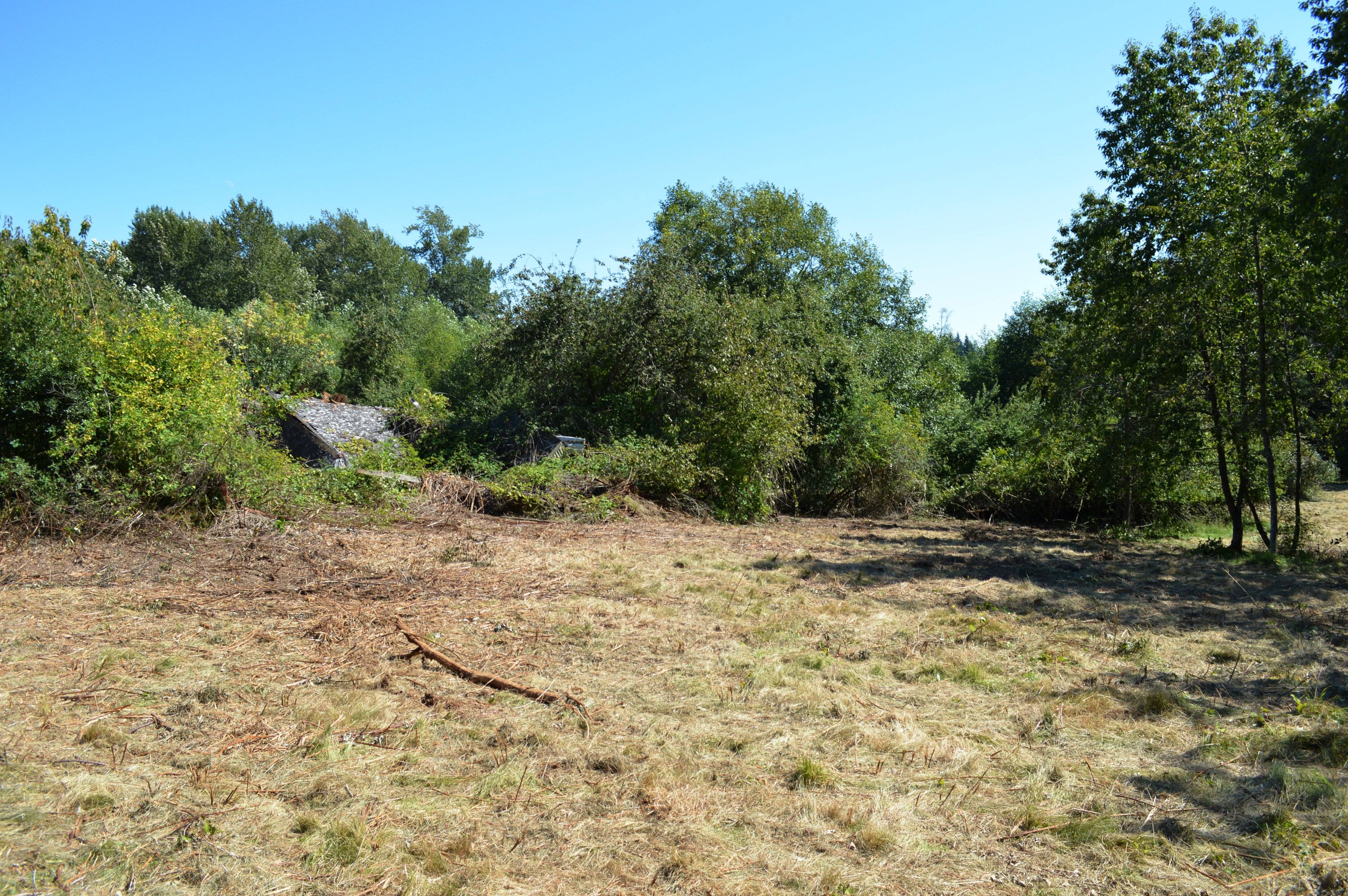 Blaine Land with Southwest Exposure for Sale